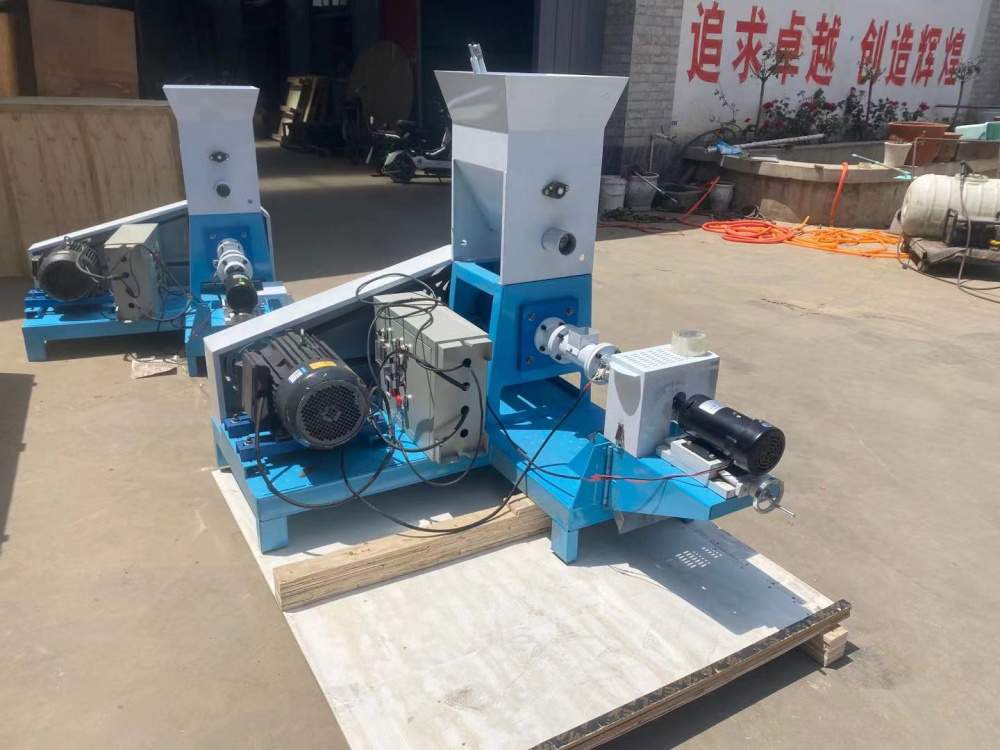 DGP40 floating fish feed machine shipped to Togo 