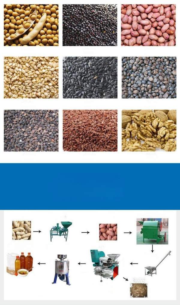 small scale screw oil press machine (2).jpg